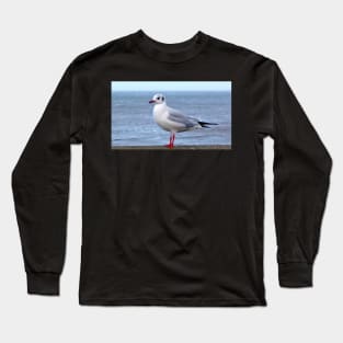 beach seagull seaside traveller bird sea gull ocean scene Long Sleeve T-Shirt